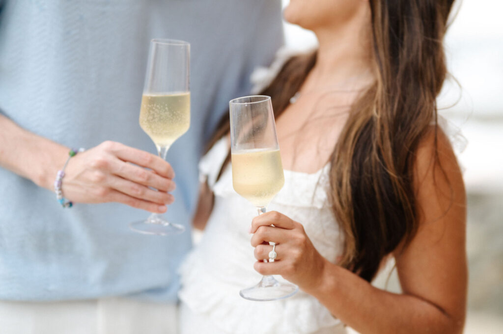 Proposal Planner CA