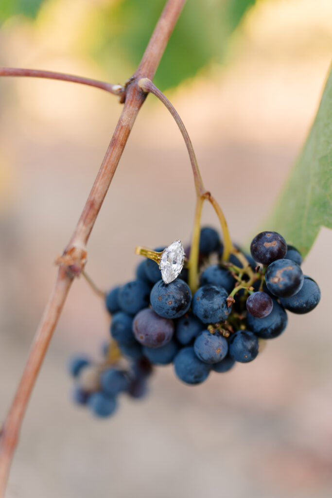 Engagement ring hanging on a cluster of wine grapes